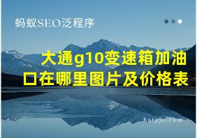 大通g10变速箱加油口在哪里图片及价格表