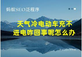 天气冷电动车充不进电咋回事呢怎么办