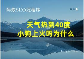 天气热到40度小狗上火吗为什么