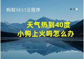 天气热到40度小狗上火吗怎么办