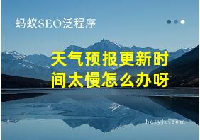 天气预报更新时间太慢怎么办呀