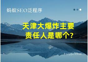 天津大爆炸主要责任人是哪个?