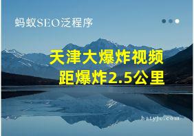 天津大爆炸视频距爆炸2.5公里