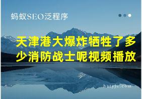 天津港大爆炸牺牲了多少消防战士呢视频播放