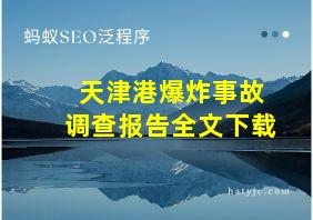 天津港爆炸事故调查报告全文下载