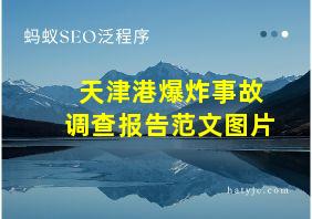 天津港爆炸事故调查报告范文图片