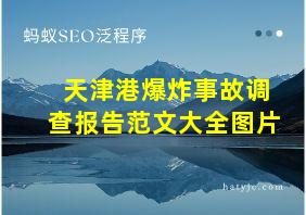 天津港爆炸事故调查报告范文大全图片