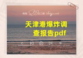 天津港爆炸调查报告pdf