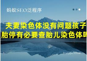 夫妻染色体没有问题孩子胎停有必要查胎儿染色体吗