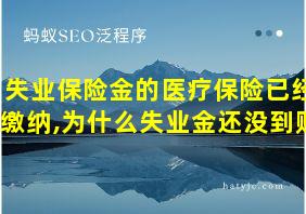 失业保险金的医疗保险已经缴纳,为什么失业金还没到账