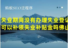 失业期间没有办理失业登记可以补领失业补贴金吗佛山