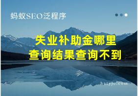 失业补助金哪里查询结果查询不到