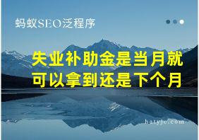 失业补助金是当月就可以拿到还是下个月