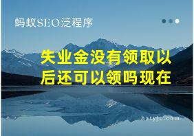 失业金没有领取以后还可以领吗现在