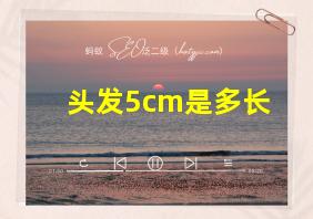 头发5cm是多长