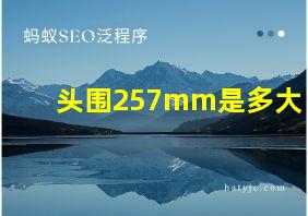 头围257mm是多大