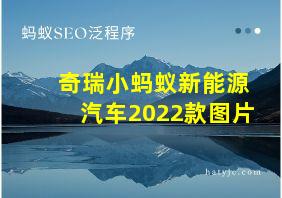 奇瑞小蚂蚁新能源汽车2022款图片