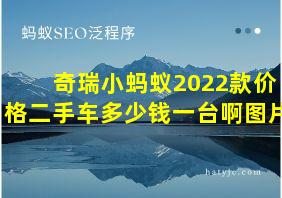 奇瑞小蚂蚁2022款价格二手车多少钱一台啊图片