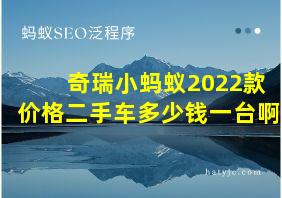 奇瑞小蚂蚁2022款价格二手车多少钱一台啊