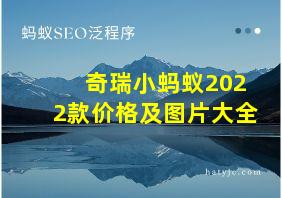 奇瑞小蚂蚁2022款价格及图片大全