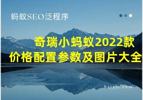 奇瑞小蚂蚁2022款价格配置参数及图片大全