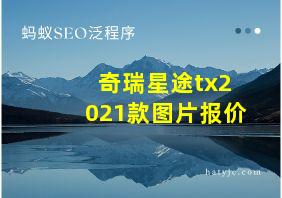 奇瑞星途tx2021款图片报价