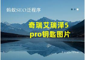 奇瑞艾瑞泽5pro钥匙图片