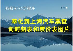 奉化到上海汽车票查询时刻表和票价表图片