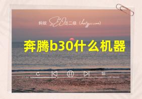 奔腾b30什么机器