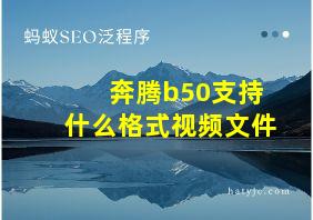 奔腾b50支持什么格式视频文件