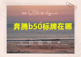 奔腾b50标牌在哪