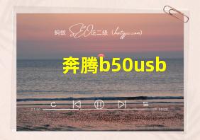 奔腾b50usb