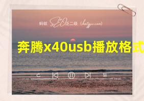 奔腾x40usb播放格式