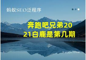 奔跑吧兄弟2021白鹿是第几期