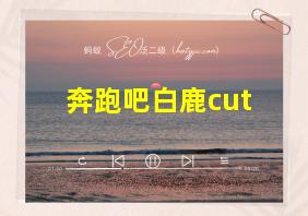 奔跑吧白鹿cut