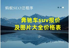 奔驰车suv报价及图片大全价格表