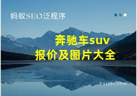 奔驰车suv报价及图片大全