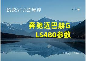 奔驰迈巴赫GLS480参数