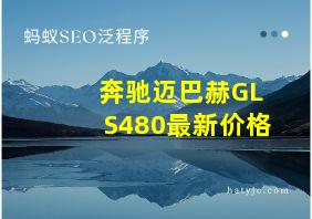 奔驰迈巴赫GLS480最新价格