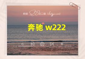 奔驰 w222