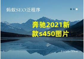 奔驰2021新款s450图片