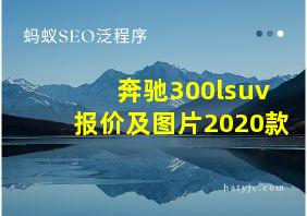 奔驰300lsuv报价及图片2020款