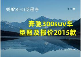 奔驰300suv车型图及报价2015款