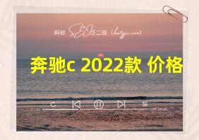 奔驰c 2022款 价格