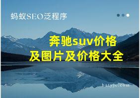 奔驰suv价格及图片及价格大全