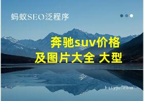 奔驰suv价格及图片大全 大型