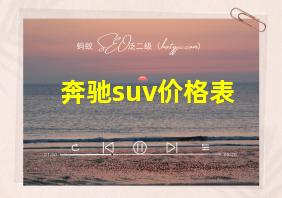 奔驰suv价格表