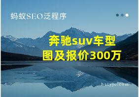 奔驰suv车型图及报价300万