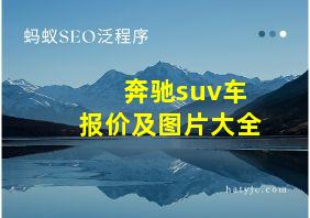 奔驰suv车报价及图片大全