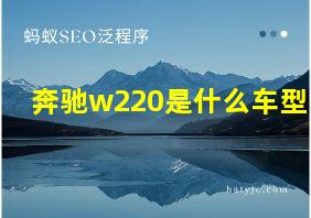 奔驰w220是什么车型